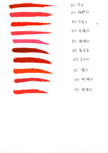 Load image into Gallery viewer, Aimoosi Lip tattoo permanent makeup lip ink Nano pure organic microblading pigment lip tattoo ink color 13 colors can be chose
